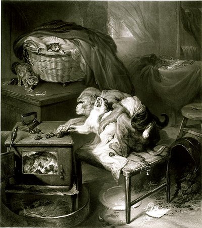 A macskamancs (metszet) alkotó: Edwin Landseer