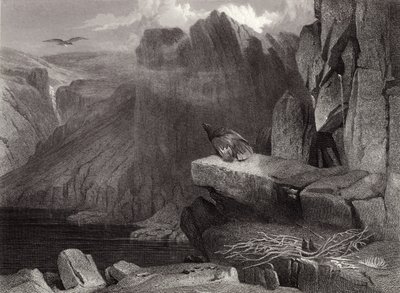 A sasfészek alkotó: Edwin Landseer