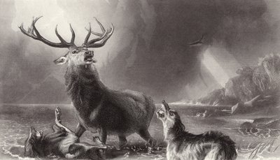 The Stag at Bay alkotó: Edwin Landseer