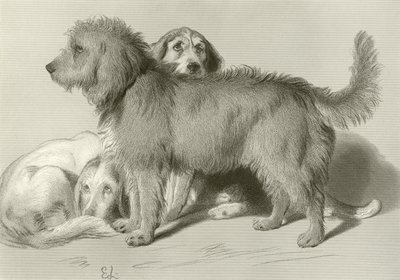 A három kutya alkotó: Edwin Landseer