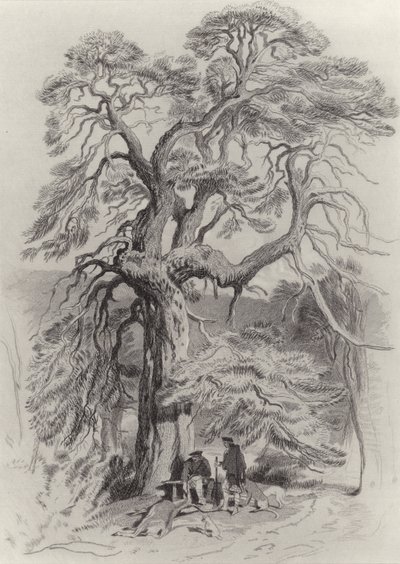 Az öreg fenyő alatt alkotó: Edwin Landseer