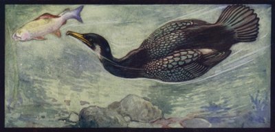 Egy kormorán és zsákmánya (színes litó) alkotó: Edwin Noble