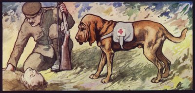 Mentős véreb alkotó: Edwin Noble