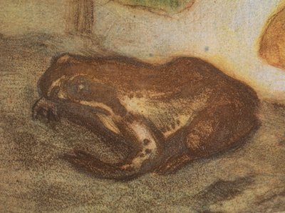 Béka mocsári gólyahírrel alkotó: Eero Järnefelt