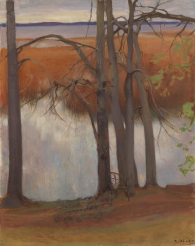 Tópart nádasokkal alkotó: Eero Järnefelt