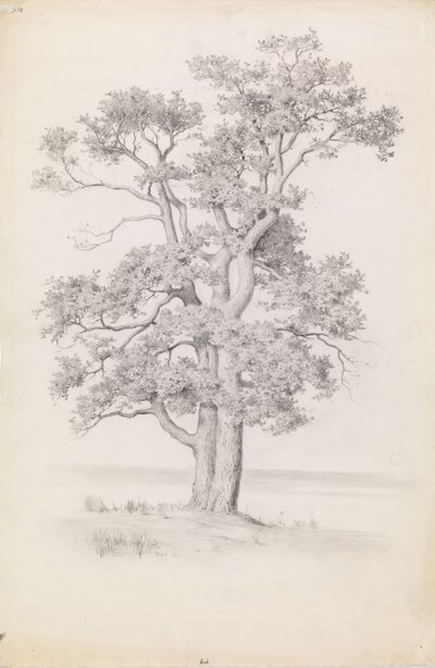 Tölgy alkotó: Eero Järnefelt