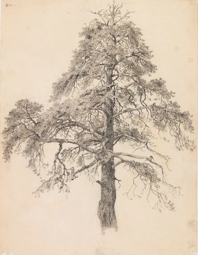 Fenyőcsúcs alkotó: Eero Järnefelt