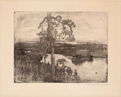 Cím nélkül alkotó: Eero Järnefelt