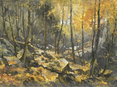 "Felsenmeer" alkotó: Egbert Rubertus Derk Schaap
