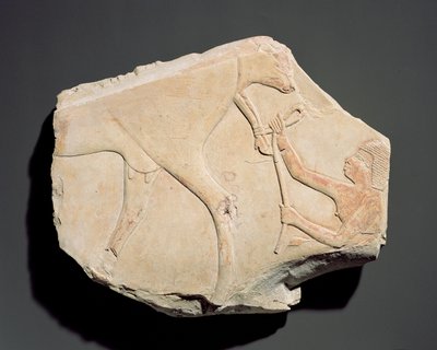 Borjú születését ábrázoló domborműtöredék, Asasifból, Thébából, a harmadik köztes időszakból (Kr. e. 1069-664) (mészkő) alkotó: Egyptian