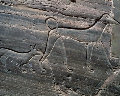Pár kutya, dombormű a bejárattól, Sarenput II sírja, Hercegek sírjai, Qubbet el-Hawa, Nílus nyugati partja Asszuánnál, Egyiptomi civilizáció, Középbirodalom, XII. dinasztia alkotó: Egyptian 12th Dynasty