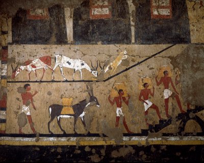 Egyiptomi ókor: a búza szállítása márna és rabszolgák hátán. Neferou királynő sírjának freskója III. 12. dinasztia. Kr.e. 2200-2000. El Ghebelenből. Torino, egyiptomi múzeum alkotó: Egyptian 12th Dynasty