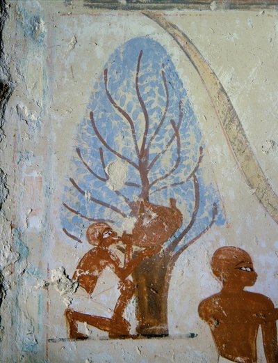  alkotó: Egyptian 18th Dynasty