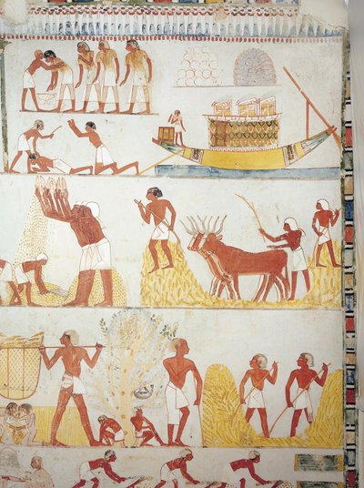 Hajó, betakarítás, gabona begyűjtése, szállítása és feldolgozása, freskó, déli szárny, keresztkamra, thébai sír TT69, Sheikh Abd el-Qurna, Théba (az UNESCO világörökségi listája) alkotó: Egyptian 18th Dynasty