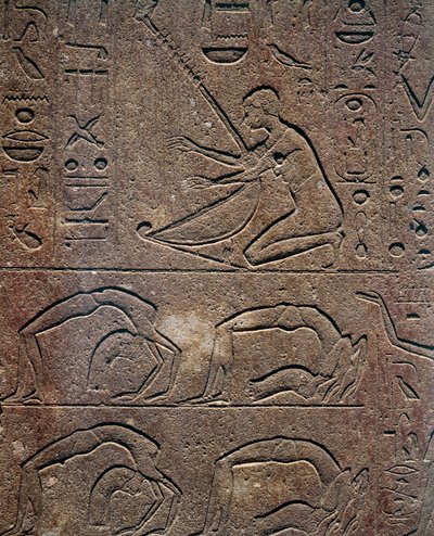 Ünnepségek hárfással és akrobatákkal, dombormű, Hatsepszut Vörös Kápolnája, a karnaki múzeumban kiállított rekonstrukció, Egyiptomi civilizáció, Újbirodalom, XVIII. dinasztia. alkotó: Egyptian 18th Dynasty
