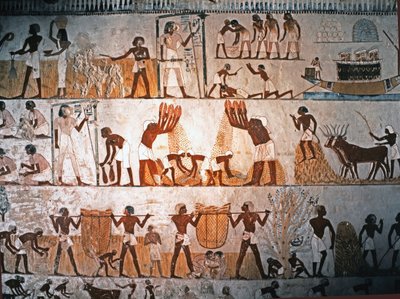 EGYIPTOMI MŰVÉSZET: Ernés jelenet. Falfestmény Menna sírjában, Elwe..., Kr. e. 1400 körül (mészkő). alkotó: Egyptian 18th Dynasty
