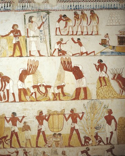Egyiptom, Théba, Luxor, Abd al-Qurna sejk, Menna királyi birtokfelügyelő sírja, előcsarnok, falfestmények, szántóföldi munka alkotó: Egyptian 18th Dynasty