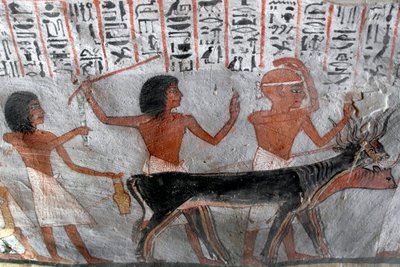 Egyiptomi ókor: bétail fejeket vezető karakterek. Roy sírjának festménye (TT255). 18. dinasztia. Luxor Ciszjordániájáról, Egyiptomból alkotó: Egyptian 18th Dynasty