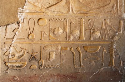 Egyiptomi antikvitás: a hosszú élettartamot és a jólétet jelképező patronnal és hieroglifákkal ellátott felirat részlete. Hatsepszut királynőnek szentelt templom (Hatsepszut) (Kr. e. 1479 - ie 1457) Deir el Bahari, Egyiptom alkotó: Egyptian 18th Dynasty