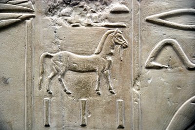 Egyiptomi antikvitás: ló ábrázolása. Ramose vezír sírjának alacsony domborműve (18. dinasztia). Luxor, Théba, Nemesek Völgye Egyiptom alkotó: Egyptian 18th Dynasty