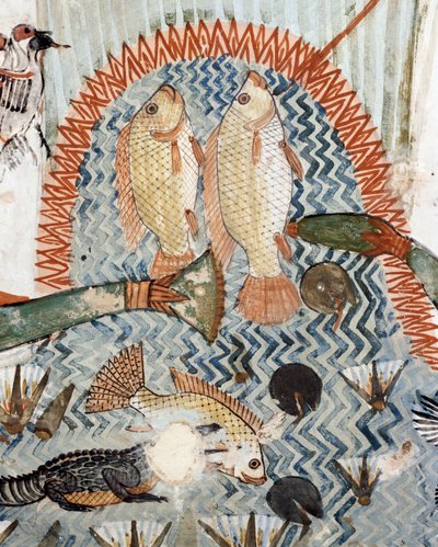 Hal, részlet a vadászat és horgászat helyszínéről a mocsarakban, freskó, északi fal, hosszanti kamra, thébai sír TT69, Sheikh Abd el-Qurna, Théba (az UNESCO világörökségi listája) alkotó: Egyptian 18th Dynasty