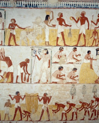 Termény betakarítása, gabonacséplés és -szeletelés, részlet Menna sírjának előcsarnokában, Sheikh Abd el Qurnah Necropolis, Luxor, Théba freskóiról (az Unesco világörökségi listája) alkotó: Egyptian 18th Dynasty