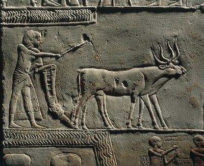 Horemheb szántás közben Iaru mezején. Horemheb sírjának reliefje Szakkarában, részlet. alkotó: Egyptian 18th Dynasty