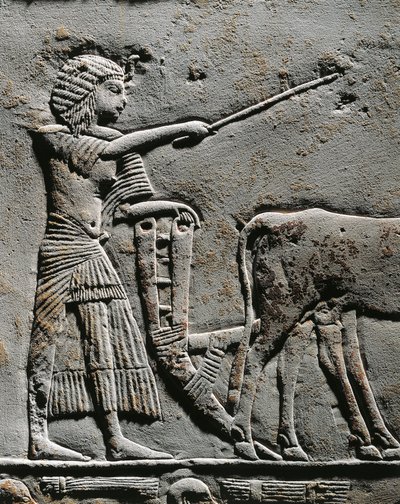 Horemheb a földet szántja Iaru mezején, dombormű Horemheb sírjából Szakkarában, részlet alkotó: Egyptian 18th Dynasty