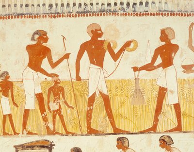 Földmérés kötéllel, Menna sírkápolnájából, Új Királyság (falfestmény) (lásd még: 251666) alkotó: Egyptian 18th Dynasty