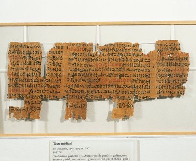 Papiruszra írt orvosi recept alkotó: Egyptian 18th Dynasty
