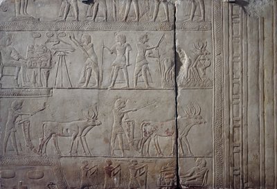 Horemheb fáraó, amint mezőgazdasági munkát végez Iaru földjein, miközben átveszi a földművesek által felajánlott termést, mészkő faldombormű, Horemheb memfita sírjából Szakkarában, Egyiptomi civilizáció, Újbirodalom, XVIII. dinasztia alkotó: Egyptian 18th Dynasty