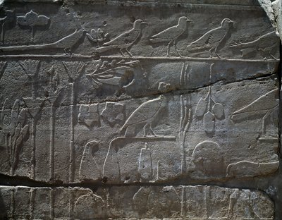 III. Thutmosz i.e. 1465-ös szíriai expedíciójáról hazahozott növények és állatok, domborműrészlet, úgynevezett botanikus kert, Amun temploma, karnaki templomkomplexum, egyiptomi civilizáció, új birodalom, XVIII. dinasztia alkotó: Egyptian 18th Dynasty