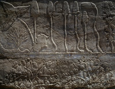 III. Thutmose szíriai expedíciójáról Kr. e. 1465-ben hazahozott növények, dombormű részlete, úgynevezett Botanikus kertként ismert csarnok, Amun templom, Karnaki templomkomplexum, Egyiptomi civilizáció, Újbirodalom, XVIII. dinasztia. alkotó: Egyptian 18th Dynasty