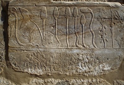 Állatok és növények domborműve, amelyeket III. Thutmózes ajánlott fel Amunnak a szíriai hadjáratból való visszatérésekor, Kr. e. 1465, Botanikus kert terem, Karnak, thébai nekropolisz, Luxor, Egyiptom, Újbirodalom, XVIII. dinasztia. alkotó: Egyptian 18th Dynasty