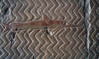 Halak ábrázolása, Punt királyság jelenetei, központi oszlopsor déli fala, Hatsepszuti halotti templom, Deir el-Bahari, Luxor, Théba (az UNESCO világörökségi listája) alkotó: Egyptian 18th Dynasty