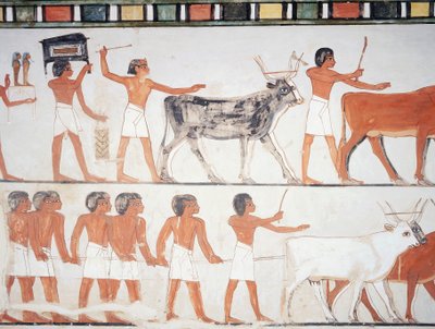 Pásztorok és szarvasmarhák, freskó, déli fal, hosszanti kamra, thébai sír TT69, Sheikh Abd el-Qurna, Théba (az Unesco világörökségi listája alkotó: Egyptian 18th Dynasty