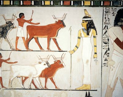 Pásztorok és marhák Imentet istennő előtt, freskó, déli fal, hosszanti kamra, thébai sír TT69, Abd el-Qurna sejk, Théba (Unesco Világörökség listája). alkotó: Egyptian 18th Dynasty
