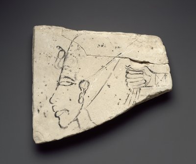 Vázlatok Ehnaton fejéről és kezéről, a Tell el-Amarna-i Nagy Palotából (mészkő) alkotó: Egyptian 18th Dynasty
