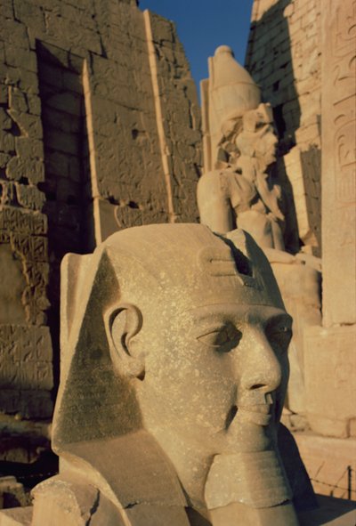 II. Ramszesz kolosszális feje (Kr. e. 1298-32) Új Királyság alkotó: Egyptian 19th Dynasty