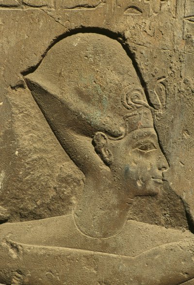 Részlet egy domborműről, amely egy fáraó fejét ábrázolja (kő) alkotó: Egyptian 19th Dynasty