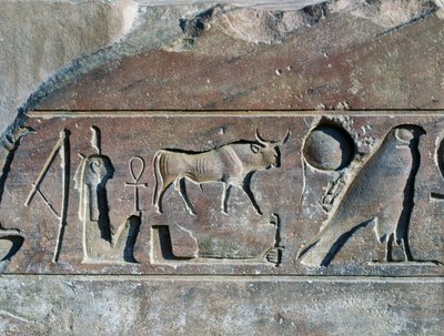 Hieroglifák II. Ramszesz nevével, obeliszk alapja, Amun temploma (az UNESCO Világörökség része alkotó: Egyptian 19th Dynasty
