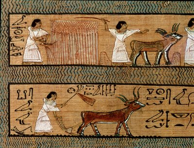 Aratás és szántás, részlet a túlvilági mezőgazdasági tevékenységek ábrázolásából, az írástudó halottai könyvéből, Kr.e. 1250 körül alkotó: Egyptian 19th Dynasty
