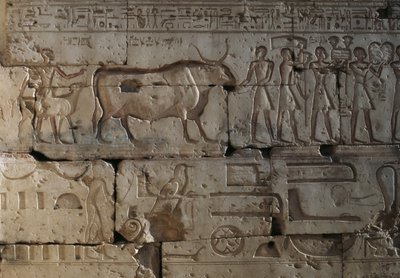 Dombormű, Ramszesz temploma, Abydos, Egyiptom, egyiptomi civilizáció, Újbirodalom, XIX. dinasztia (fotó) alkotó: Egyptian 19th Dynasty