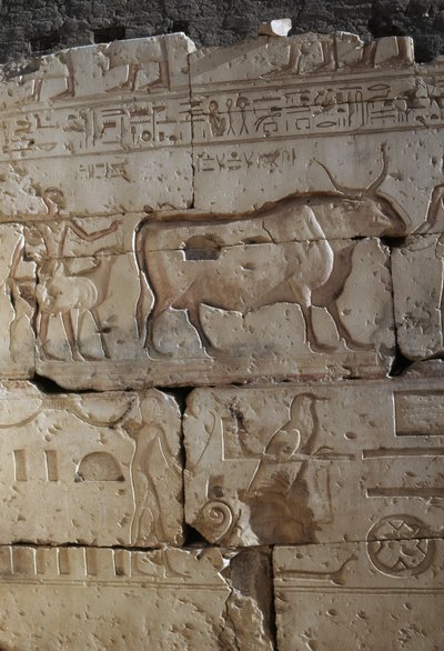 Dombormű, Ramszesz temploma, Abydos, Egyiptom, egyiptomi civilizáció, Újbirodalom, XIX. dinasztia (fotó) alkotó: Egyptian 19th Dynasty