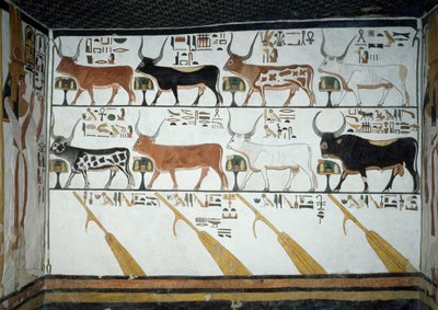 Hét égi tehén, férjbika és négy kormányevező, a Halottak könyve 148. fejezete, részlet Nefertari sírjának második kamrájának freskóiról, Queens Valley, Luxor, Théba. Egyiptomi civilizáció, Újbirodalom, XIX. dinasztia. alkotó: Egyptian 19th Dynasty