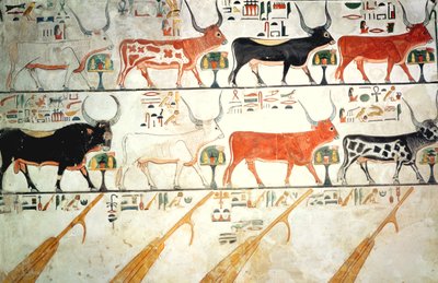 A hét égi tehén és a szent bika és a mennyország négy kormánya, Nefertari sírjából, Új Királyság (falfestmény) alkotó: Egyptian 19th Dynasty