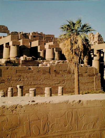 Ramszesz fala és Tuthmosis temploma alkotó: Egyptian 19th Dynasty