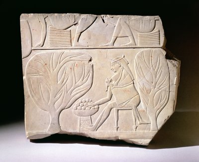 Egy platánfüge után nyúló nő domborműve Montuemhat sírjából, Nyugat-Théba, késői időszak alkotó: Egyptian 25th Dynasty