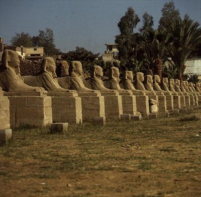 Szfinxek sugárútja, I. Nektanebo (Kr. e. 380-362) késői időszak alkotó: Egyptian 30th Dynasty