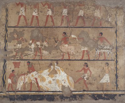 Scenes of cattle breeding, slaughter, bearers of offerings and sacrifice, Tomb of Iti and Neferu (mural) alkotó: Egyptian 6th Dynasty